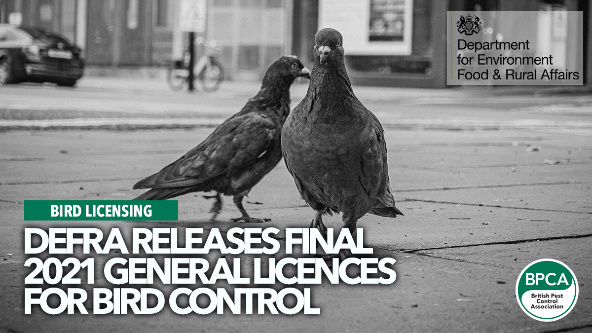 defra-releases-final-bird-licences